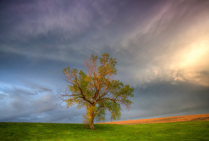 On the Plains