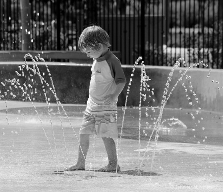 Daniel in the Fountains