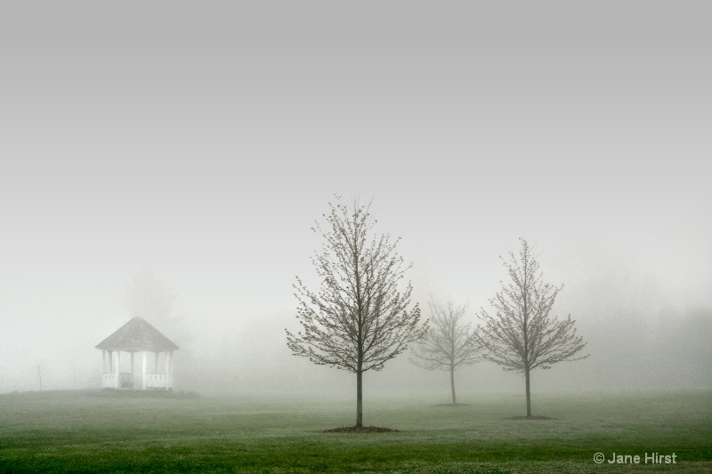 Gazebo and Trees