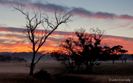 Autumn in Armidale