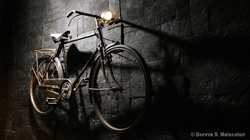 A vintage bike on a wall