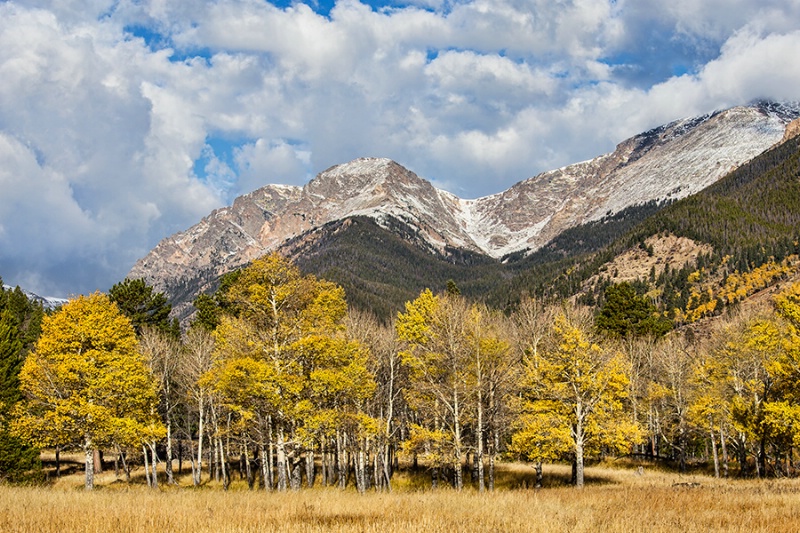 Autumn In Rocky Mountain National Park  