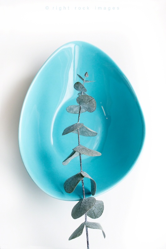 Eucalyptus & Blue Bowl