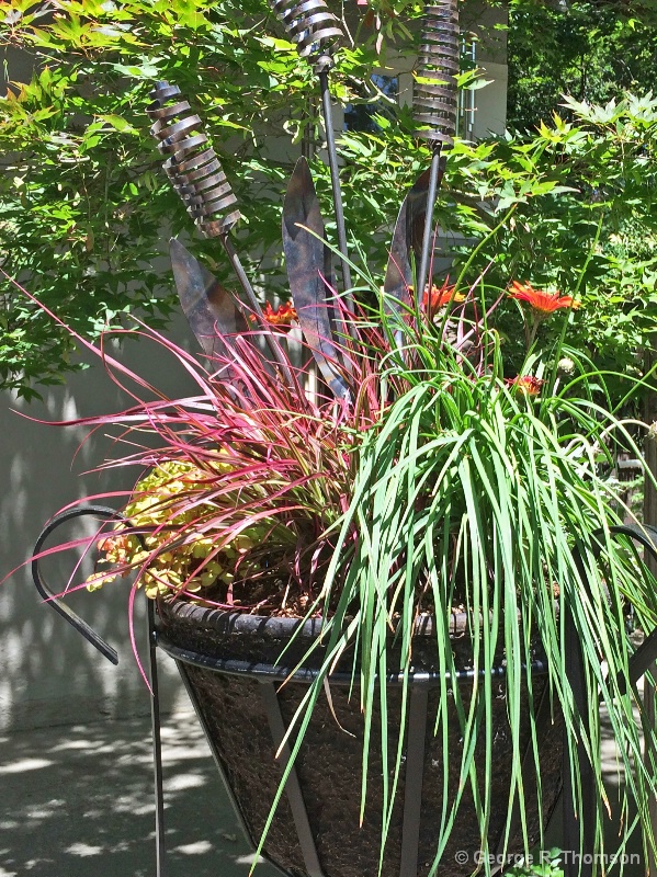 Large Pot With Grasses