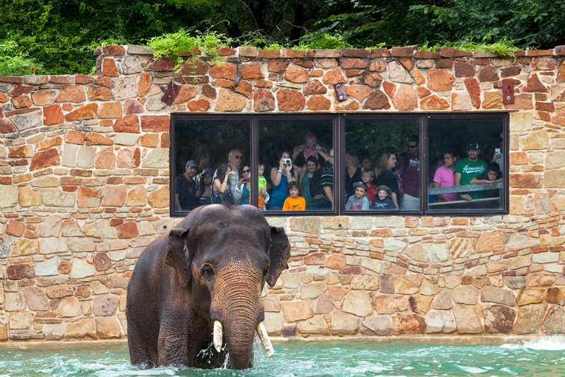 Zoo Day - ID: 14905794 © Jeff Robinson