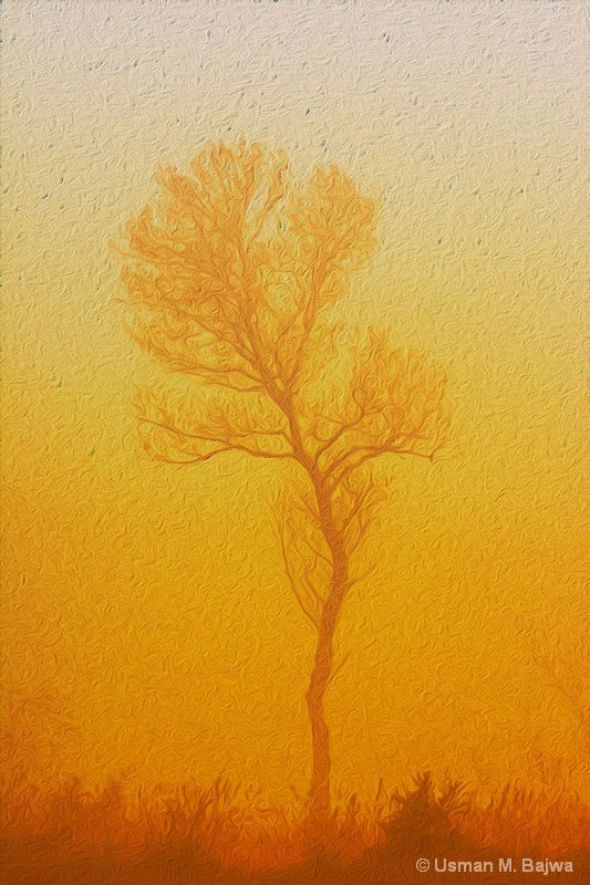 img5