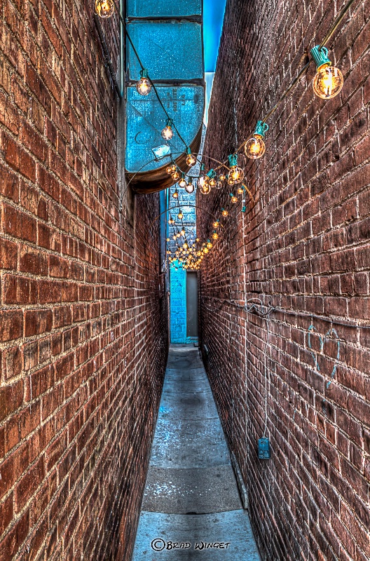 Alley Vision