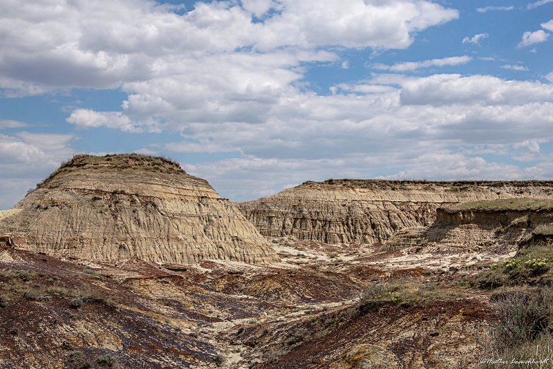 Avonlea Badlands