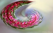 Pink poker abstra...