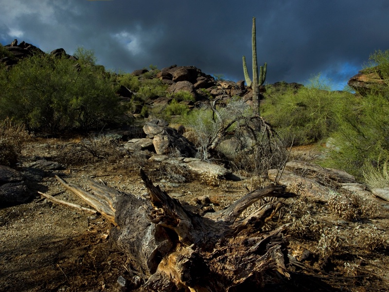 Storm in the Desert