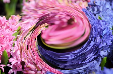 A "Spin" on Flowers...