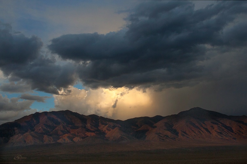 Brewing Desert Rain