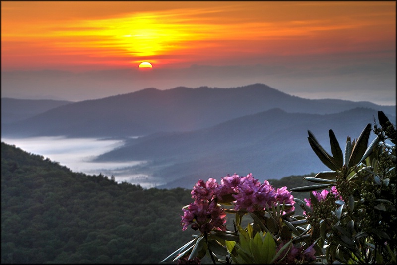Blue Ridge Sunrise - ID: 14909437 © Steve Owen