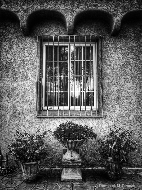 ~ ~ WINDOW AND PLANTERS ~ ~ 