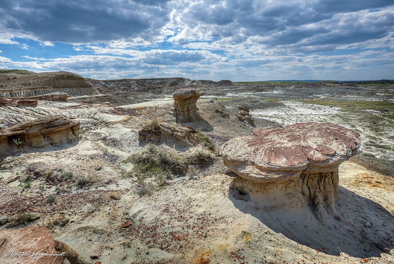 Avonlea Badlands 2