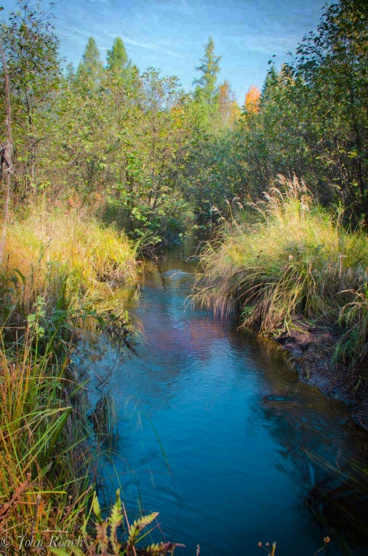 Pickeler Creek at Treehaven, Wisconsin - ID: 14913174 © John D. Roach