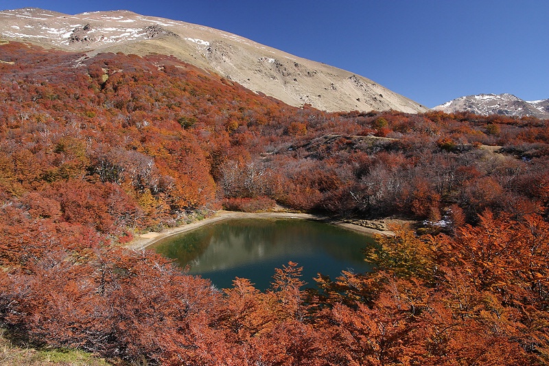 Autumn in “Laguna Verde”