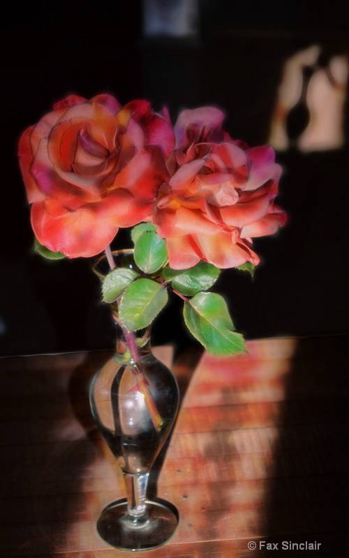 Picassos Roses  - ID: 14914369 © Fax Sinclair