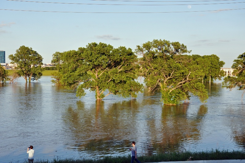 More of the trinity River