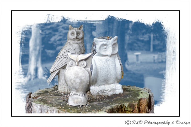 The Three Owl's