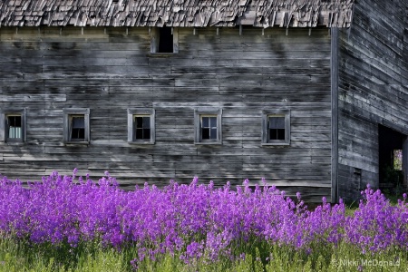 Barn with Flowers