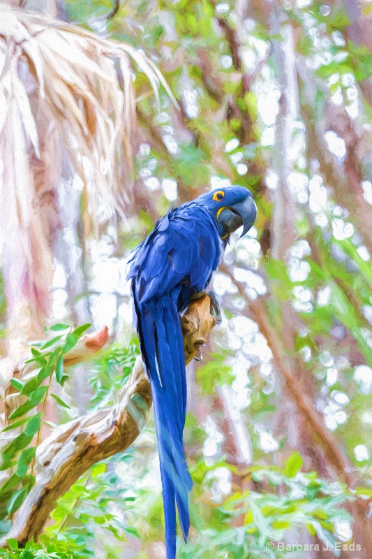 Painted "Blue" Bird