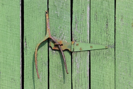 Green Hinge