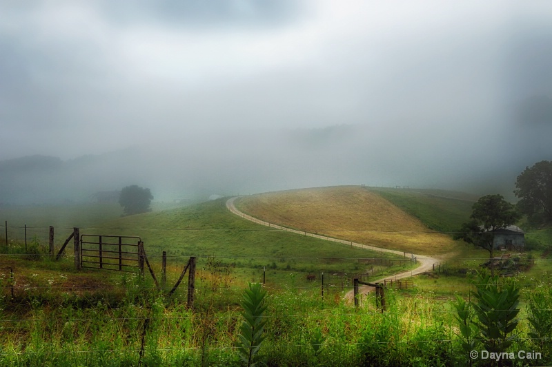 Foggy Morning On The Piper Farm