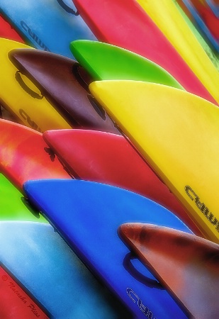 Kayaks or canoes?