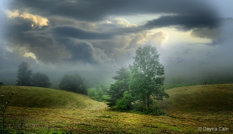 View From Maple Creek Road