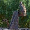 Bird and bird