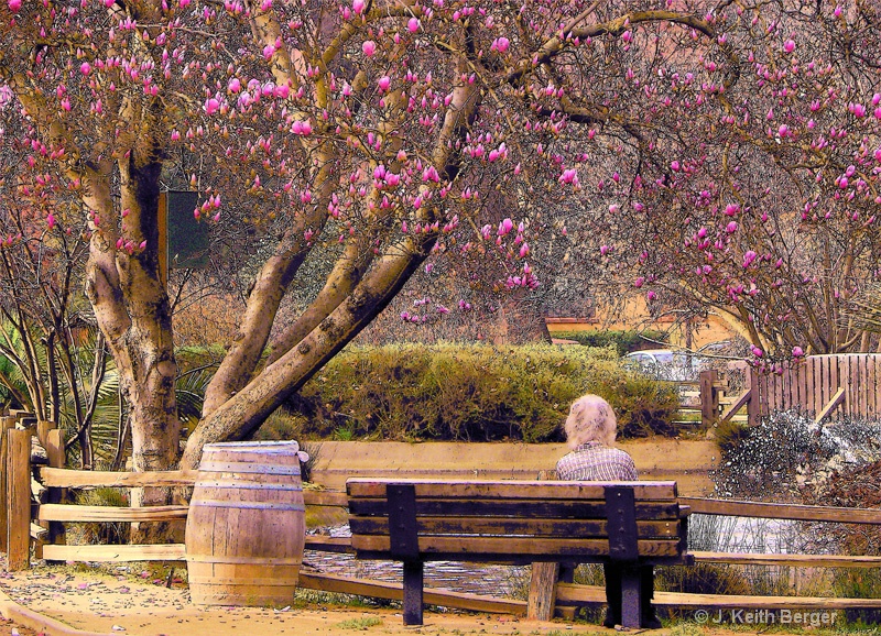 Contemplation Under the Tulip Tree - ID: 14919737 © J. Keith Berger