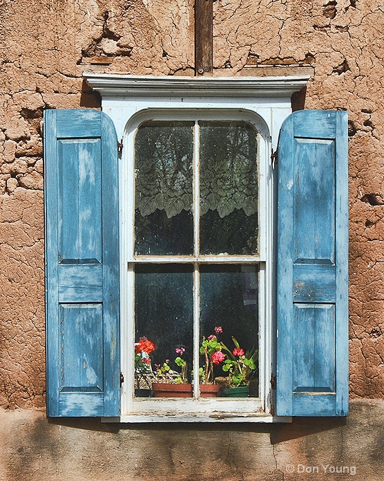 Flowers In A New Mexico Window