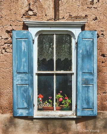 Flowers In A New Mexico Window