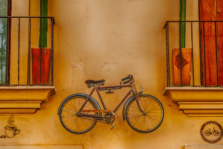 A Vintage Bicycle from Bicibella
