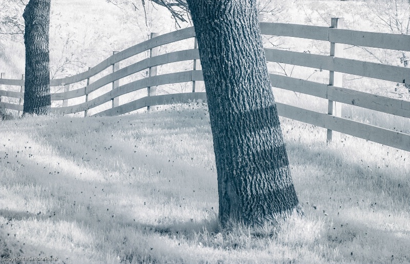 Fence Line - ID: 14921699 © Sandra M. Shenk