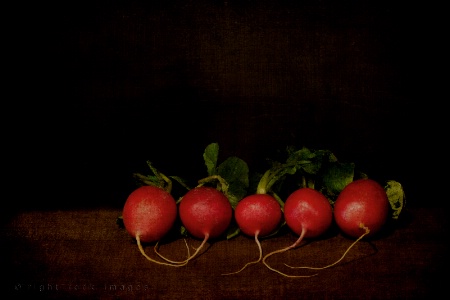 Radish Still Life I