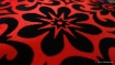 Red & Black in de...