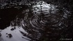 At rain