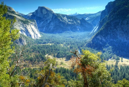 Play in Yosemite Valley