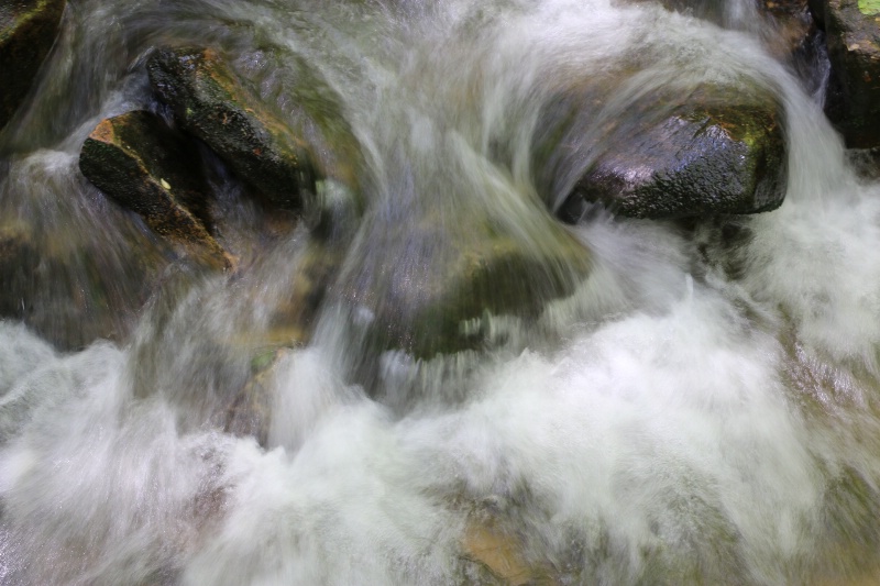 Water Face