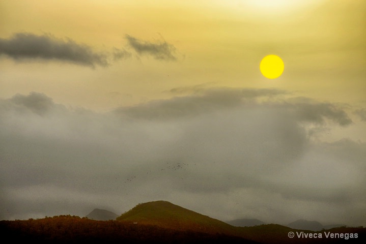 Early Sunrise - ID: 14924642 © Viveca Venegas