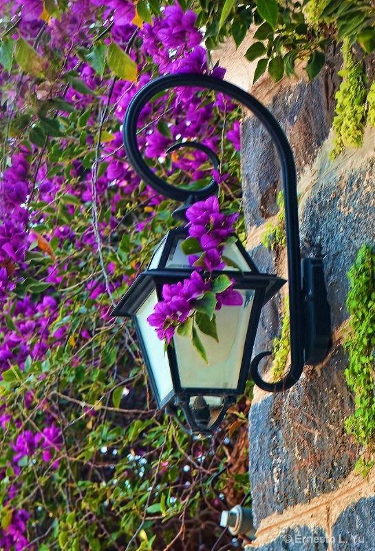 Pretty Lamp Post