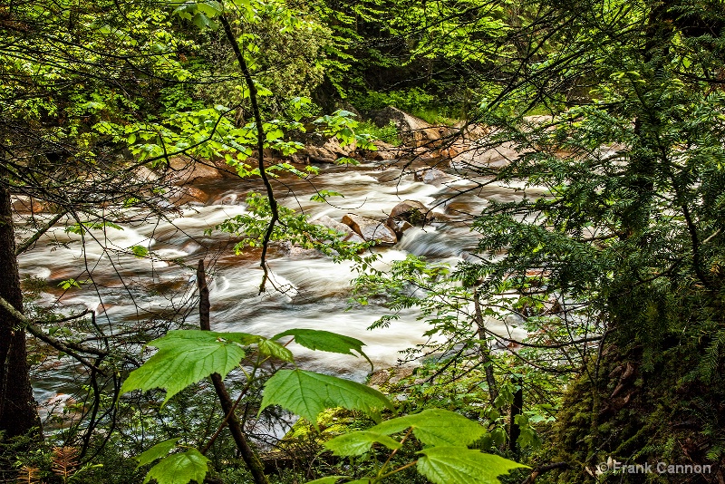 La rivière caché