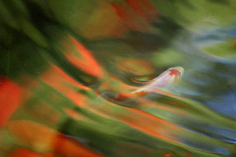 img6
