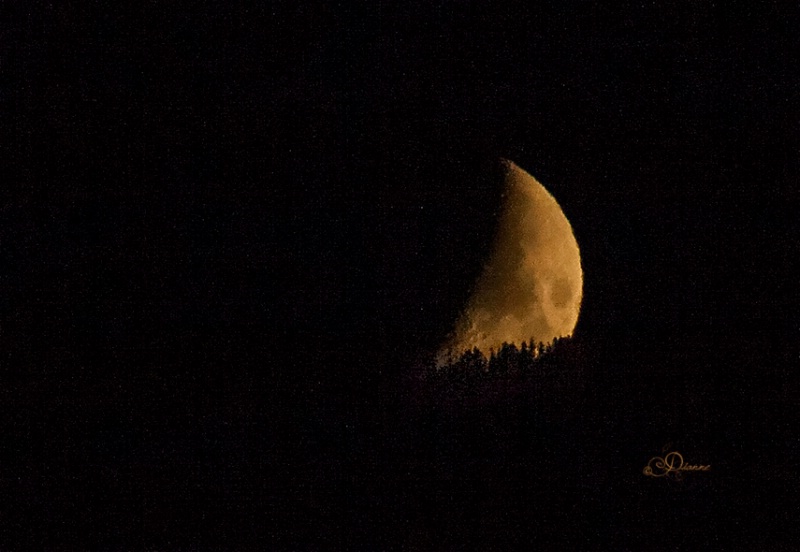 Setting Crescent Moon Behind The Sierra