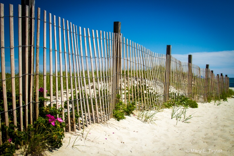 beach fence ii - ID: 14927179 © Mary E. Taylor