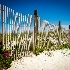 © Mary E. Taylor PhotoID # 14927179: beach fence ii