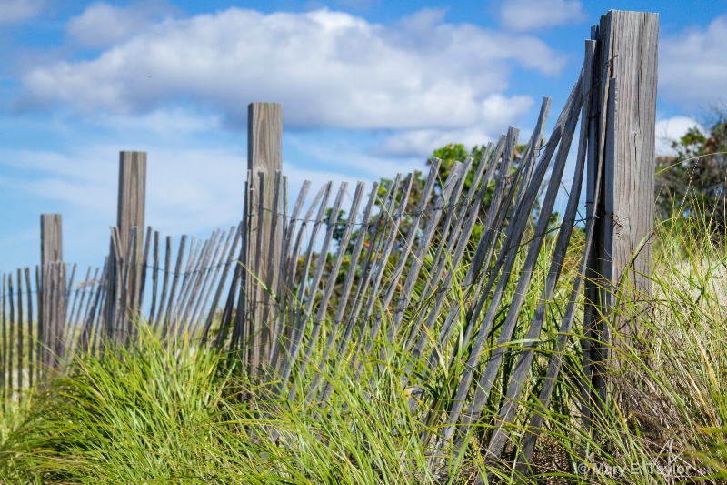 beach fence i - ID: 14927183 © Mary E. Taylor