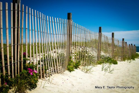 beach fence ii - ID: 14927196 © Mary E. Taylor